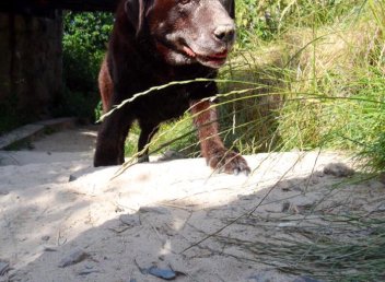 10501891_10153179938649057_1119929883710135495_n