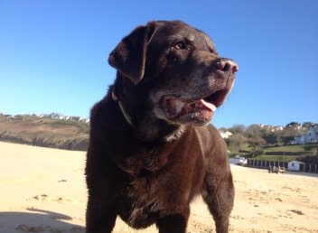 600824_10152230765944057_419871660_n