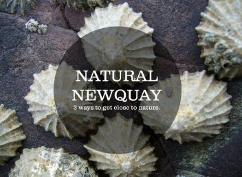 Atlantic_naturalnewquayfeatimg_April2015