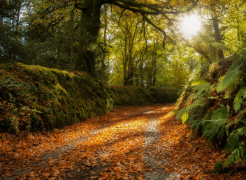 Cornwall in the Autumn