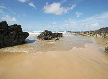 Image courtesy of: Rob Noble [CC BY-SA 2.0 (http://creativecommons.org/licenses/by-sa/2.0)], via Wikimedia Commons