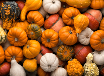 October Half term at the Atlantic Hotel