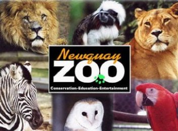 newquay-zoo